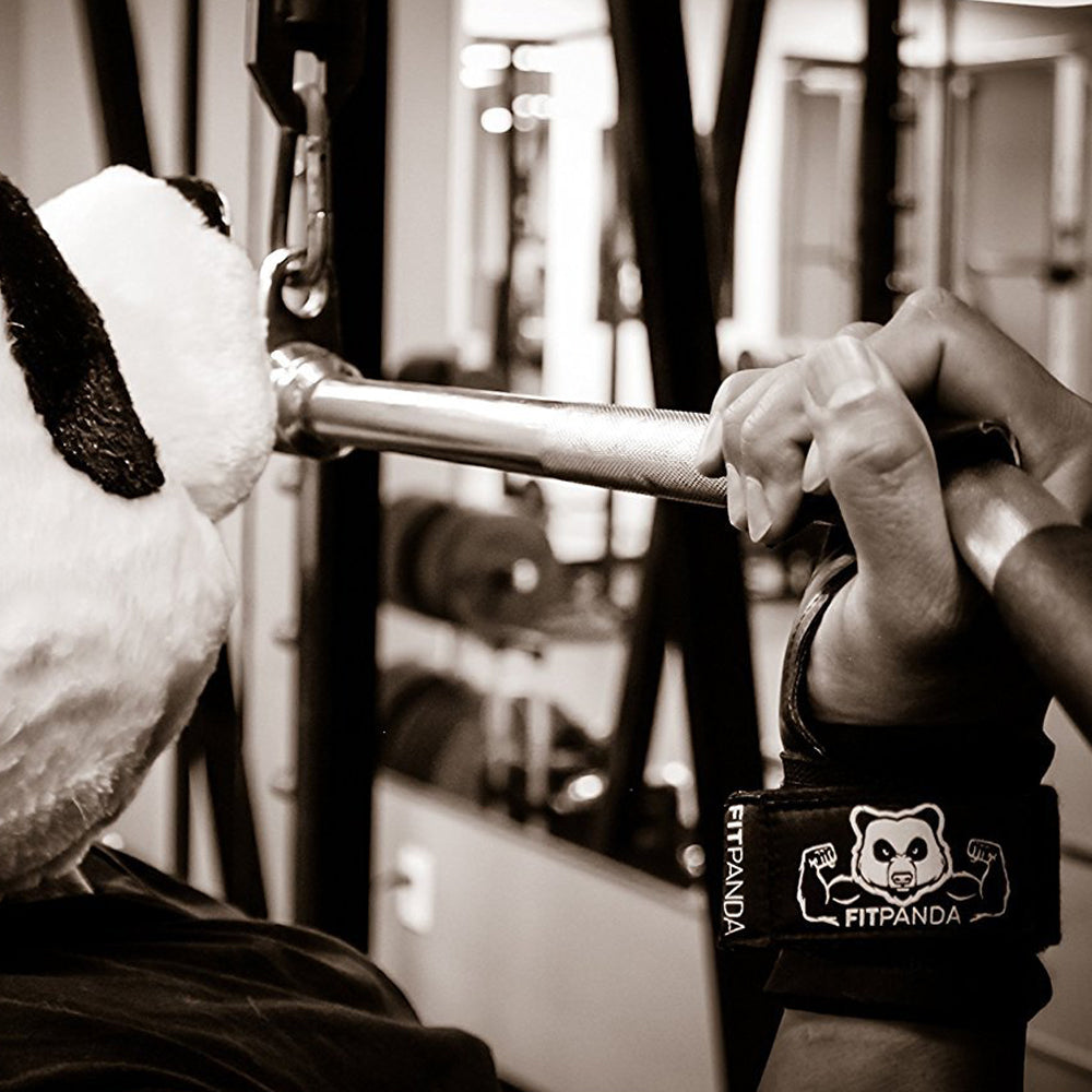 FitPanda Power Grip Lifting Gloves - NSD Spinner